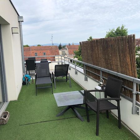 ストラスブールLa Terrasseアパートメント エクステリア 写真